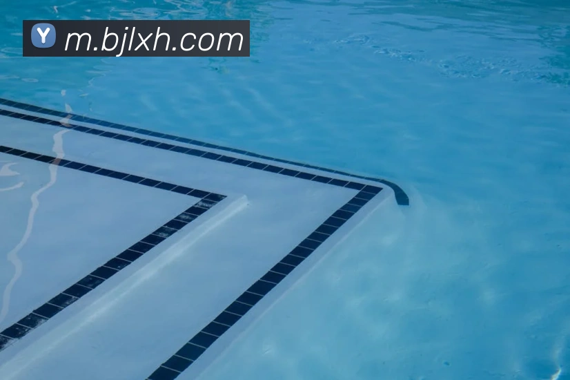 百家乐网站服务体系